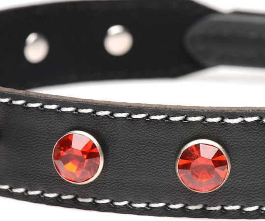 Strict Leather Κολάρο σε Κόκκινο Χρώμα