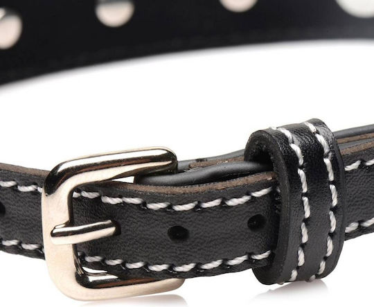 Strict Leather Κολάρο σε Κόκκινο Χρώμα