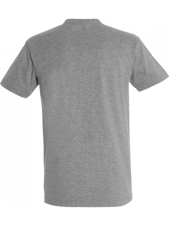 Kinder-T-Shirt Gray
