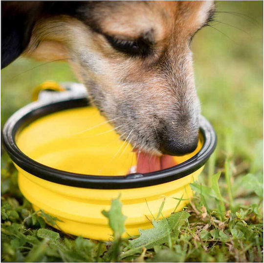 Akinu Schalen Futter & Wasser für Hund 800ml in Gelb Farbe