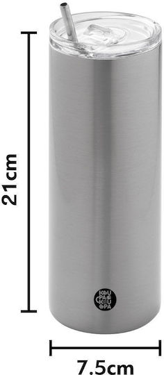 Koupakoupa US Glass Thermos Stainless Steel BPA Free 600ml Silver with Straw