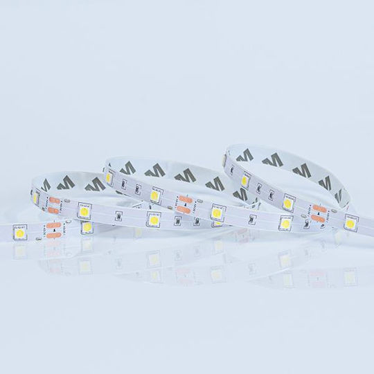 Eurolamp Ταινία LED 24V Φυσικό Λευκό Φως 5m Τύπου SMD5050