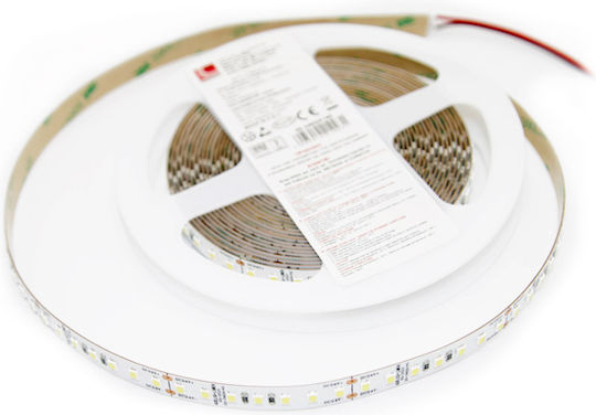 Adeleq LED Strip 24V Cold White Light 5m Type SMD2835