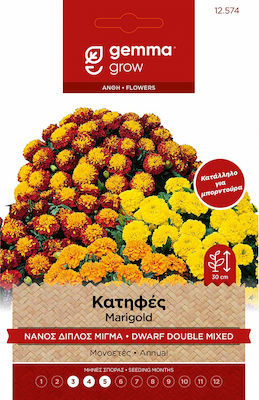 Gemma Seeds Calendulaς 0.9gr/270pcs Polychrome