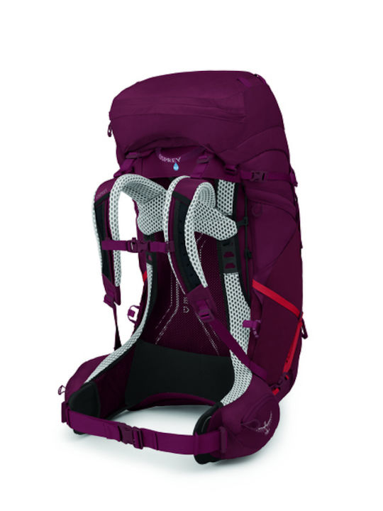 Osprey Aura AG LT 65 Bergsteigerrucksack 65Es Lila