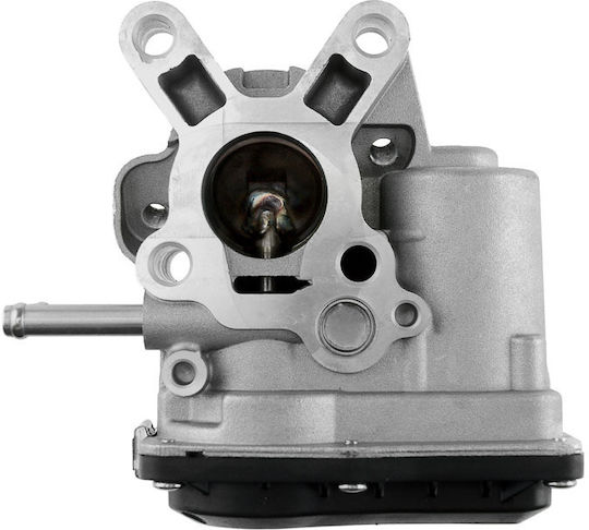 NTY Supapă EGR Motor de mașină pentru Nissan Cabstar / Navara / Pathfinder