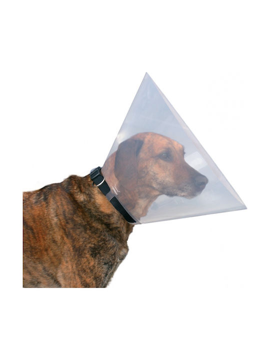 Trixie Elizabeth Dog Collar in Transparent color Small / XSmall 22 - 25cm