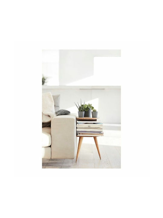 Ecopots Amsterdam Mini Γλάστρα Πλαστική Γκρι 10.5x10.5x9.2εκ.