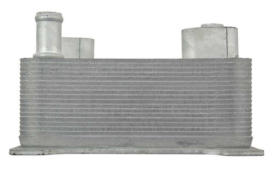 NTY Ψυγείο Λαδιού Αυτοκινήτου για Volkswagen Passat / Phaeton Audi A8