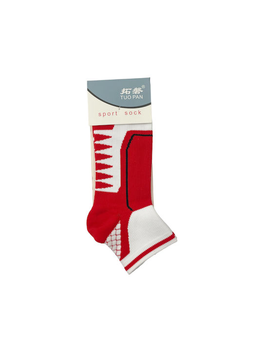 Intimonna Men's Socks White