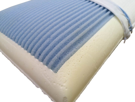 Art Strom Memory Foam Anatomic Bed Pillow 45x65x15cm