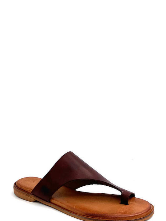 Favela Women's Flat Sandals in Brown Color