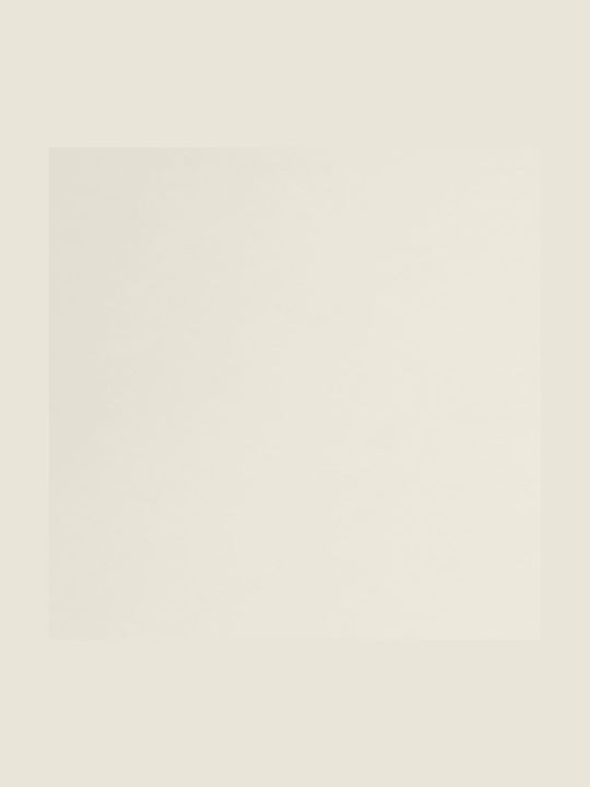 vidaXL Terrace Wall Tent Beige 5x3cm