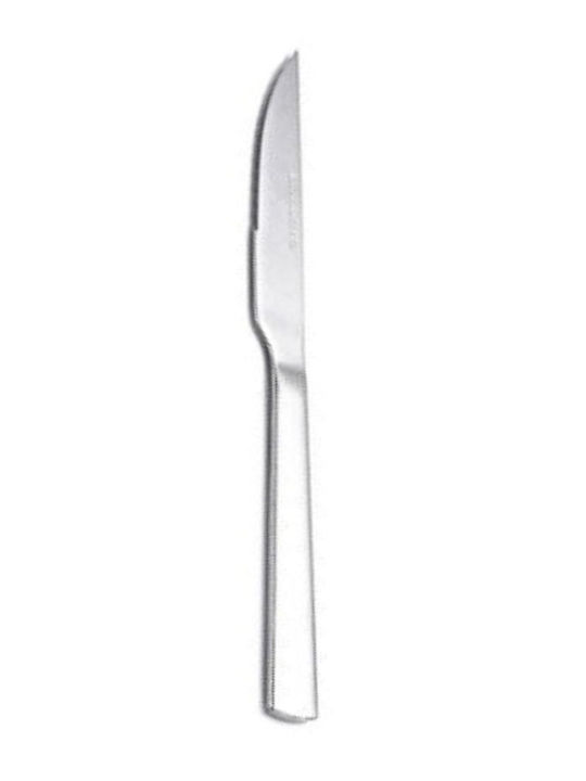 Dinox Porto Knife Food from Stainless Steel 21.5cm