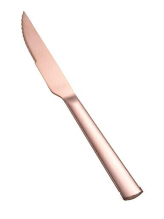 Dinox Porto Steak Knife Stainless Steel Cooper 21.5cm