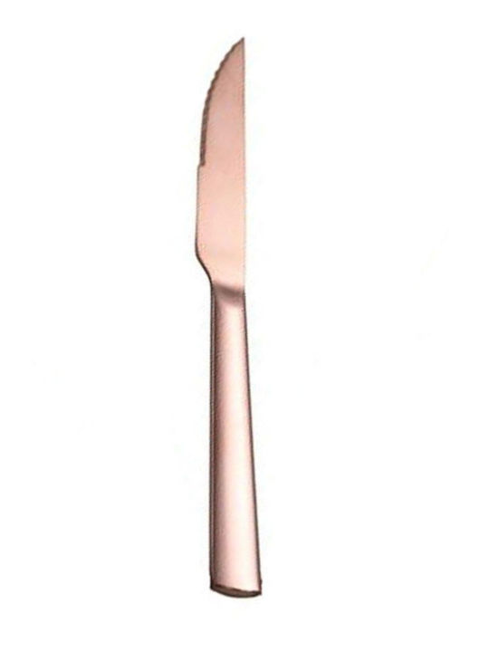 Dinox Porto Steak Knife Stainless Steel Cooper 21.5cm