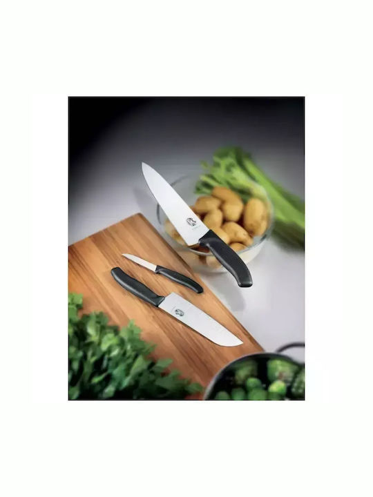 Victorinox Swiss Classic Knife General Use from Stainless Steel 8cm