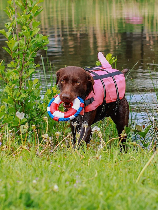 Nobby Shark Schwimmweste Hund Groß 40x35cmx35cmcm