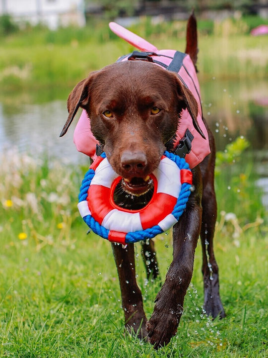 Nobby Vest Shark Dog Life Jacket Waterproof Large Pink 40cm