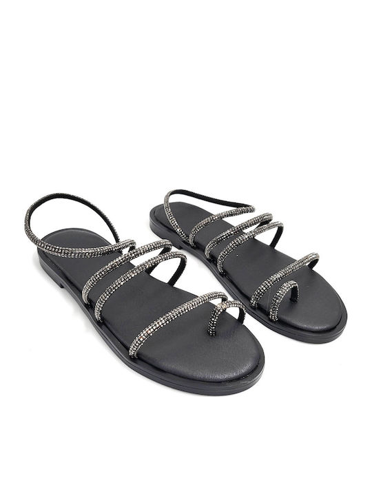 Shoelover Shoelover