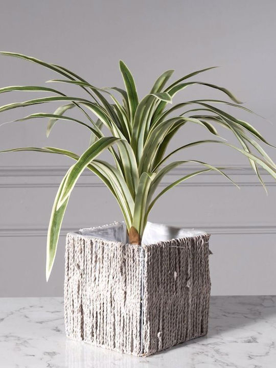 Supergreens Planter Ceramic Brown 20x20x20cm.