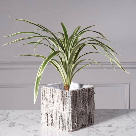 Supergreens Κασπώ Κεραμικό Καφέ 20x20x20εκ.