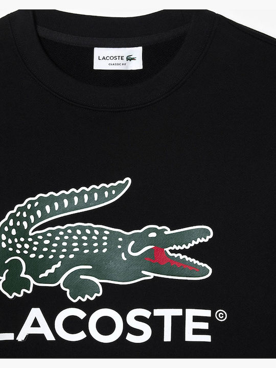 Lacoste Lacoste