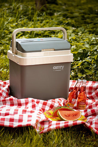 Camry Portable Thermoelectric Fridge 21L 12V / 220V Gray