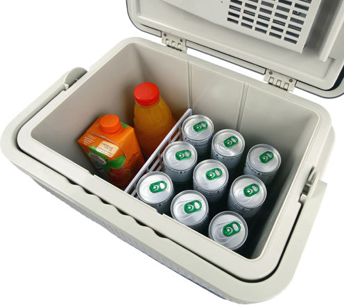 Camry Portable Thermoelectric Fridge 21L 12V / 220V Gray