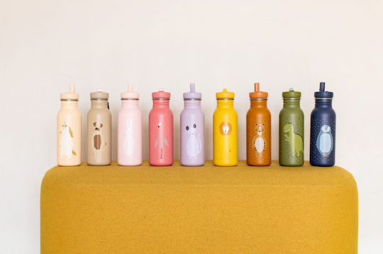 Trixie Kids Water Bottle Stainless Steel with Straw Mr Cat Brown 500ml (Various Designs/Colours)