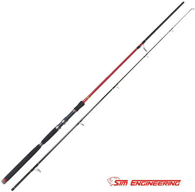 Sim Engineering Shore Master Fishing Rod for Shore Jigging 3m 40-170gr