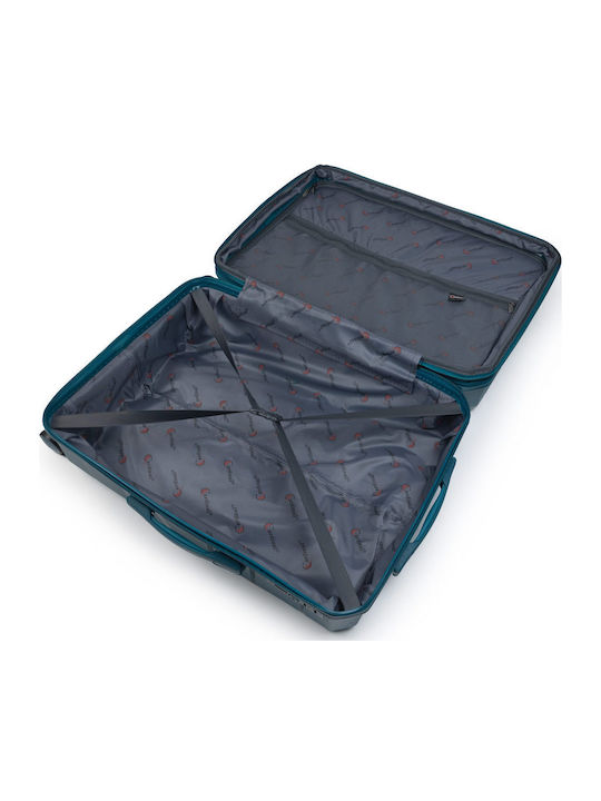 Cardinal Βαλίτσα Μεσαία