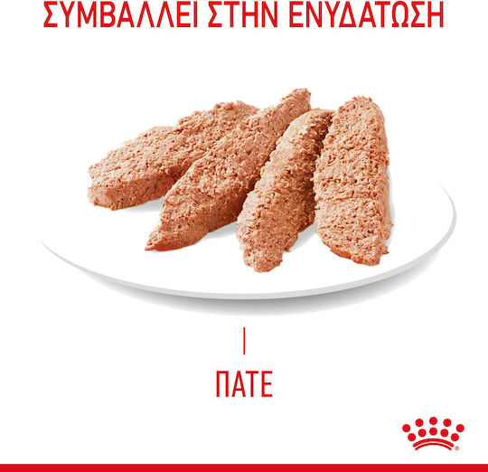 Royal Canin Hair & Skin Care Loaf Wet Food for Adult Cats in Pouches with Poultry 85gr