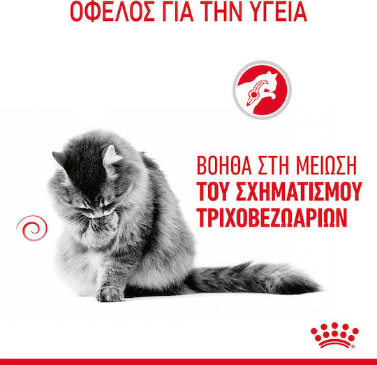 Royal Canin Wet Hairball Jelly Wet Food for Adult Cats in Pouches with Poultry 85gr