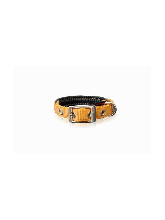 Pet Interest Neoprene Standard Dog Collar In Gold Colour Large 25mm x 50cm