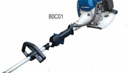 Hyundai H-Combi 26 Polimotor de Grădină Benzină fără Accesorii