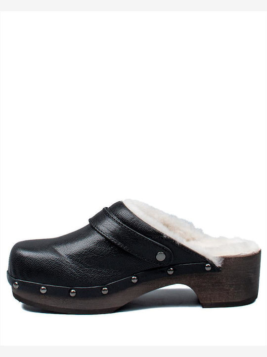 Scholl