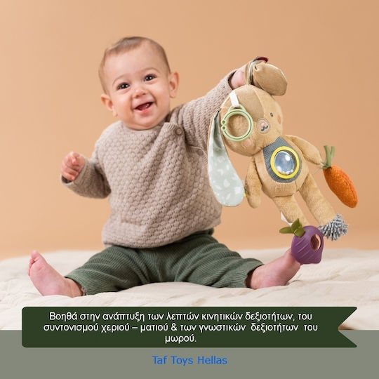 Taf Toys Pendant Toy for Car with Teether 13185