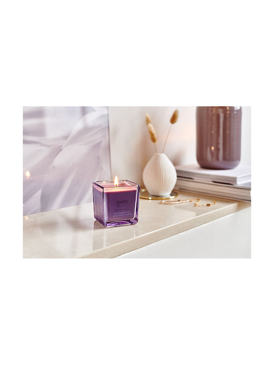 InTheBox Aromatisches Kerze in Gefäß mit Duft Levander Touch 125gr 6 Stück