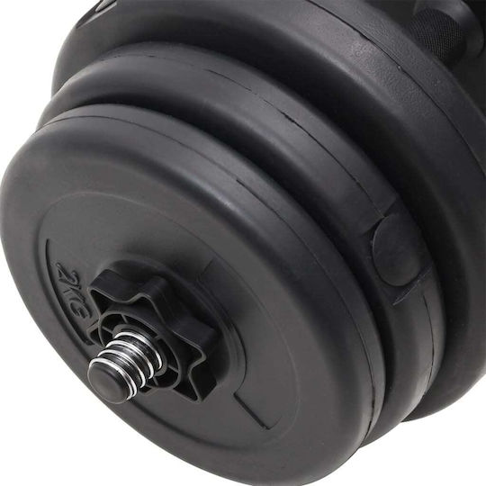 vidaXL Αλτήρες Σετ 2x 14kg