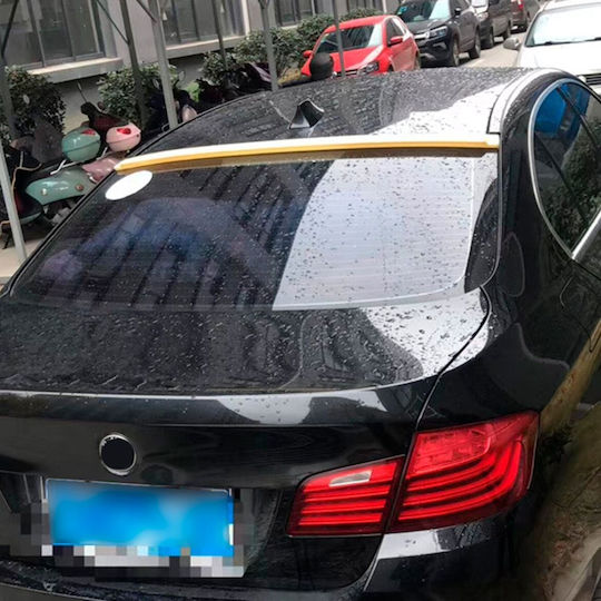 Аеротома за Таван от Пластмаса BMW F10