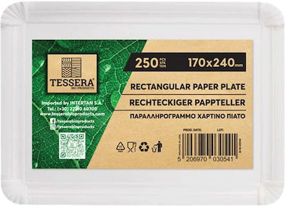 Tessera Disposable Plate 17x24cm 250Stück