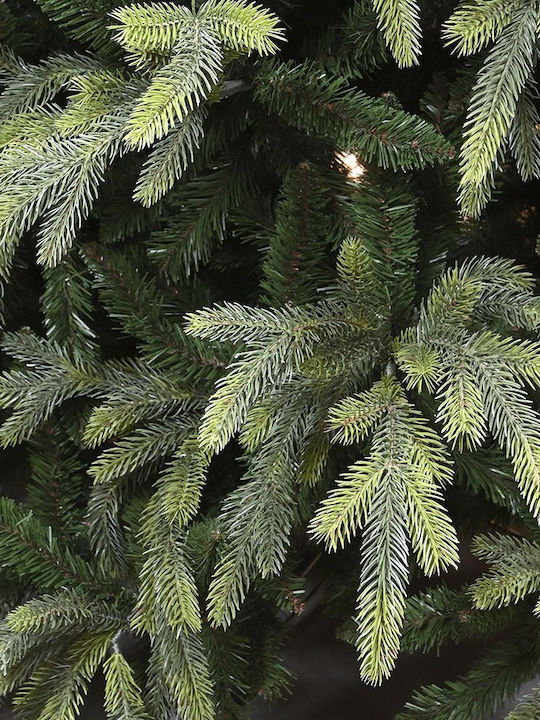 Christmas Tree Fraser Fir 210cm with 3420 Branches