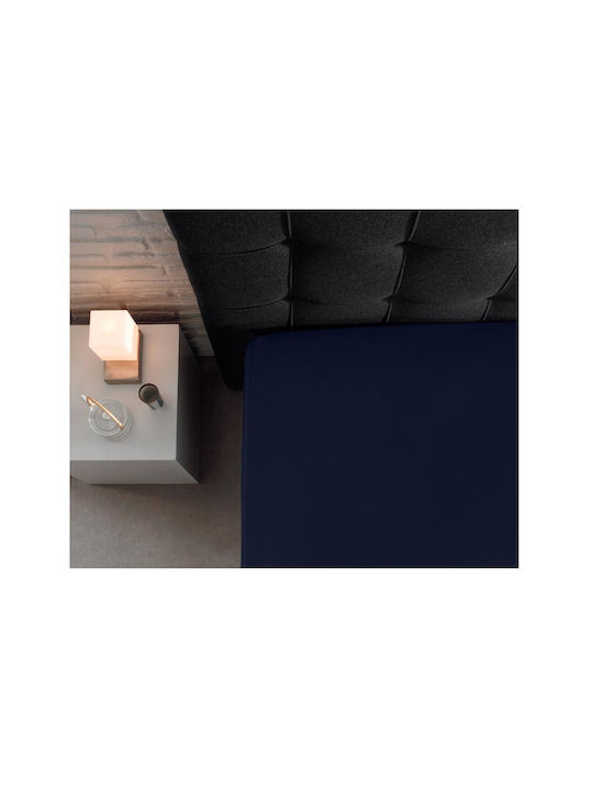 DreamHouse Cearșaf Super dublu cu Elastic 160x200+30cm. Albastru