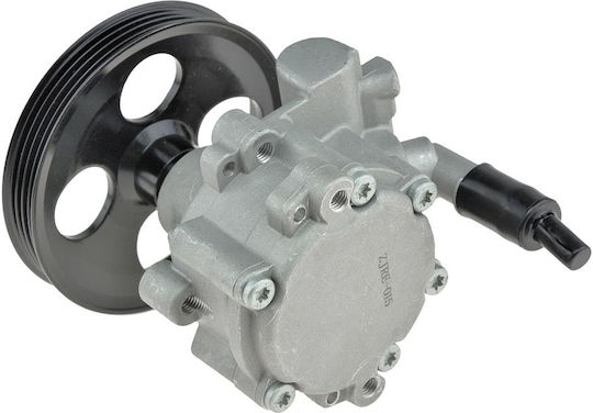 NTY Power Steering Pump Car for Renault Thalia Dacia Lodgy / Logan / Logan MCV / Sandero