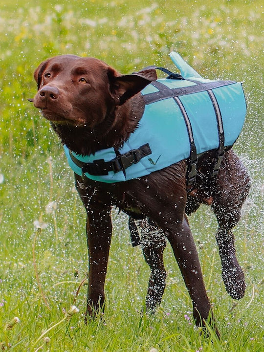 Nobby Shark Dog Life Jacket Waterproof Small Light Blue 30cm
