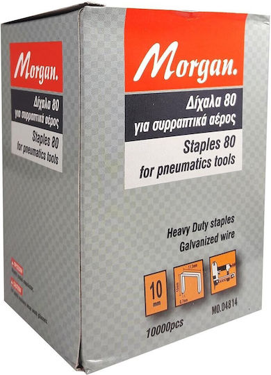 MO.04812 Δίχαλα 10000τμχ