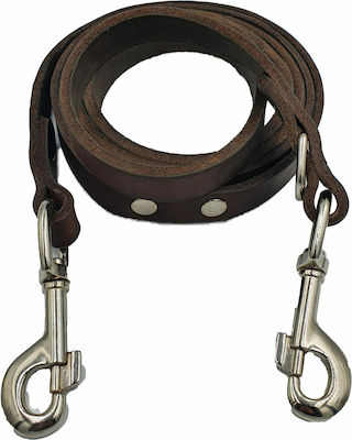 Dog Leash/Lead Training Leather in Brown color