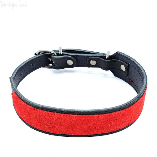 Younique Lab Dog Leash/Lead Leather SMALL in Black color 3cm