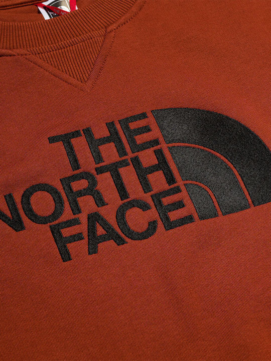 The North Face Men's Sweatshirt with Hood Brown